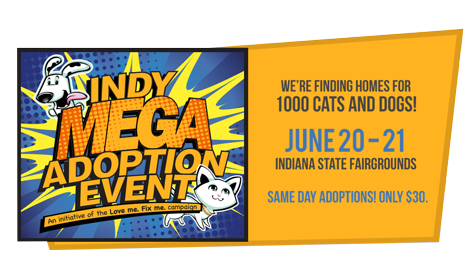 Indy Mega Pet Adoption