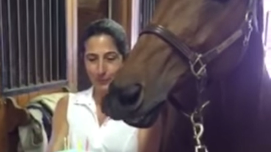 Cutest Thing I’ve Ever Seen: A Horse Blows Out It’s Candles