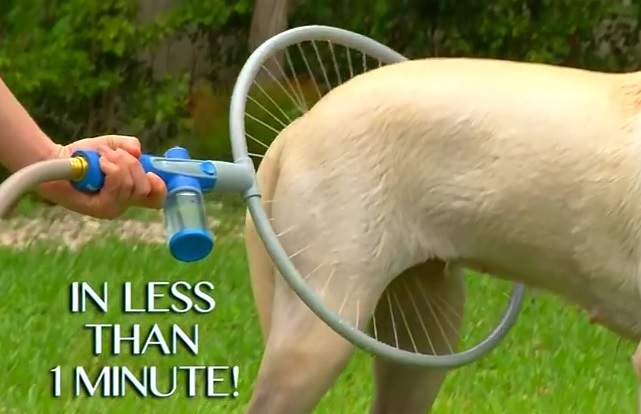 WOW: Woof Washer Can Clean Your Dog In Under A Minute!