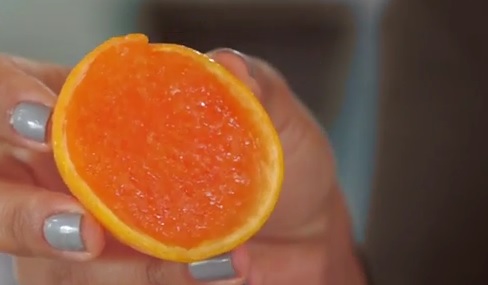 YUM! Learn How To Make These Classy Jello Shots