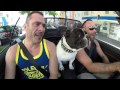 VIDEO: This Dog LOVES Whitney Houston