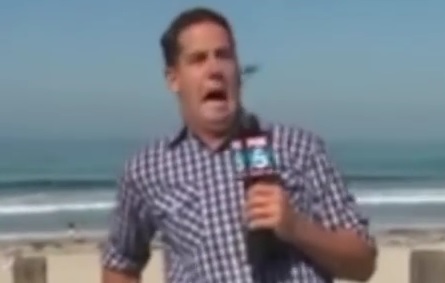 Video: Weatherman Loses It Live On Air When Bug Attacks