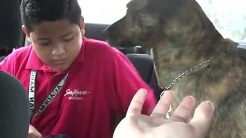 VIDEO: Dog Cries After Mom Drops Off Kid At School