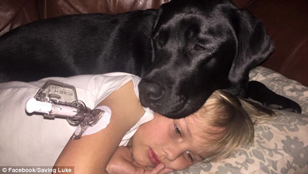 WATCH: Sleeping Boy Had A Diabetic Attack. What Happens Next Is Incredible.